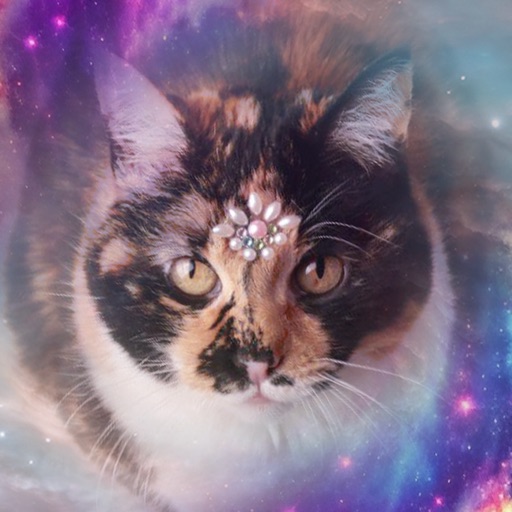 Tarot Cat, Nébula’s Tarot Deck icon Tarot Cat, Nébula’s Tarot Deck icon