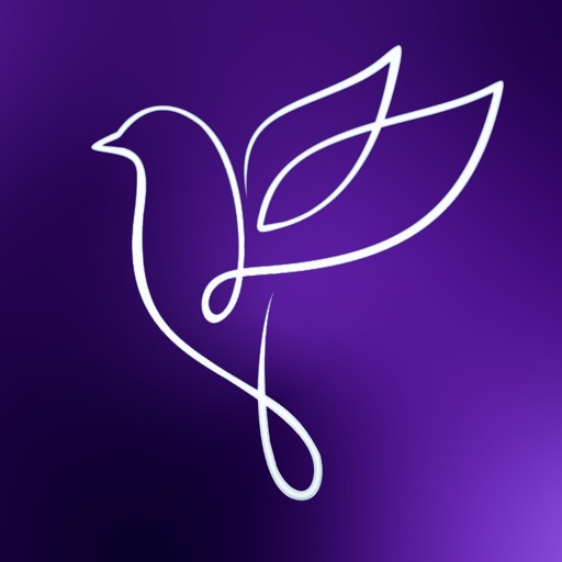 Biblical Dream Interpretation icon