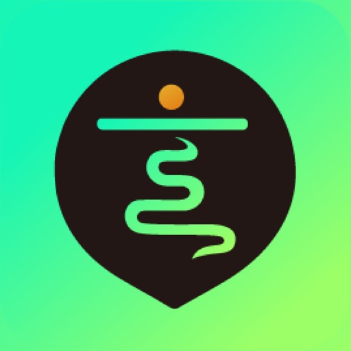 最东玄—紫微斗数排盘互动式学习软件 app icon