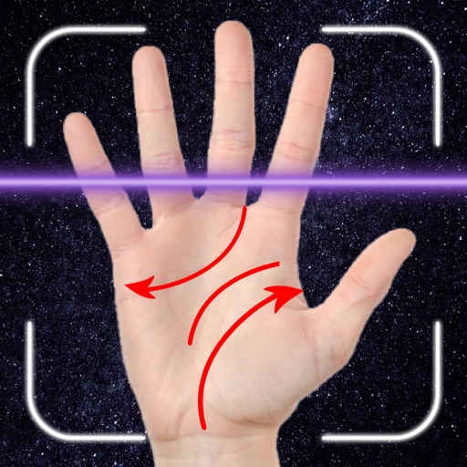 Palm Astrology and Horoscope logo
