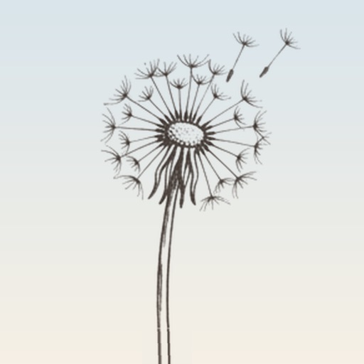 疗愈蒲公英 icon