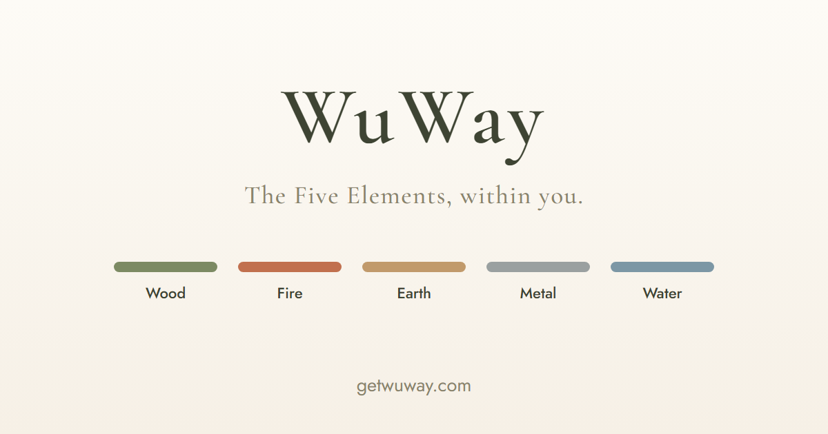 WuWay logo and five colored elements