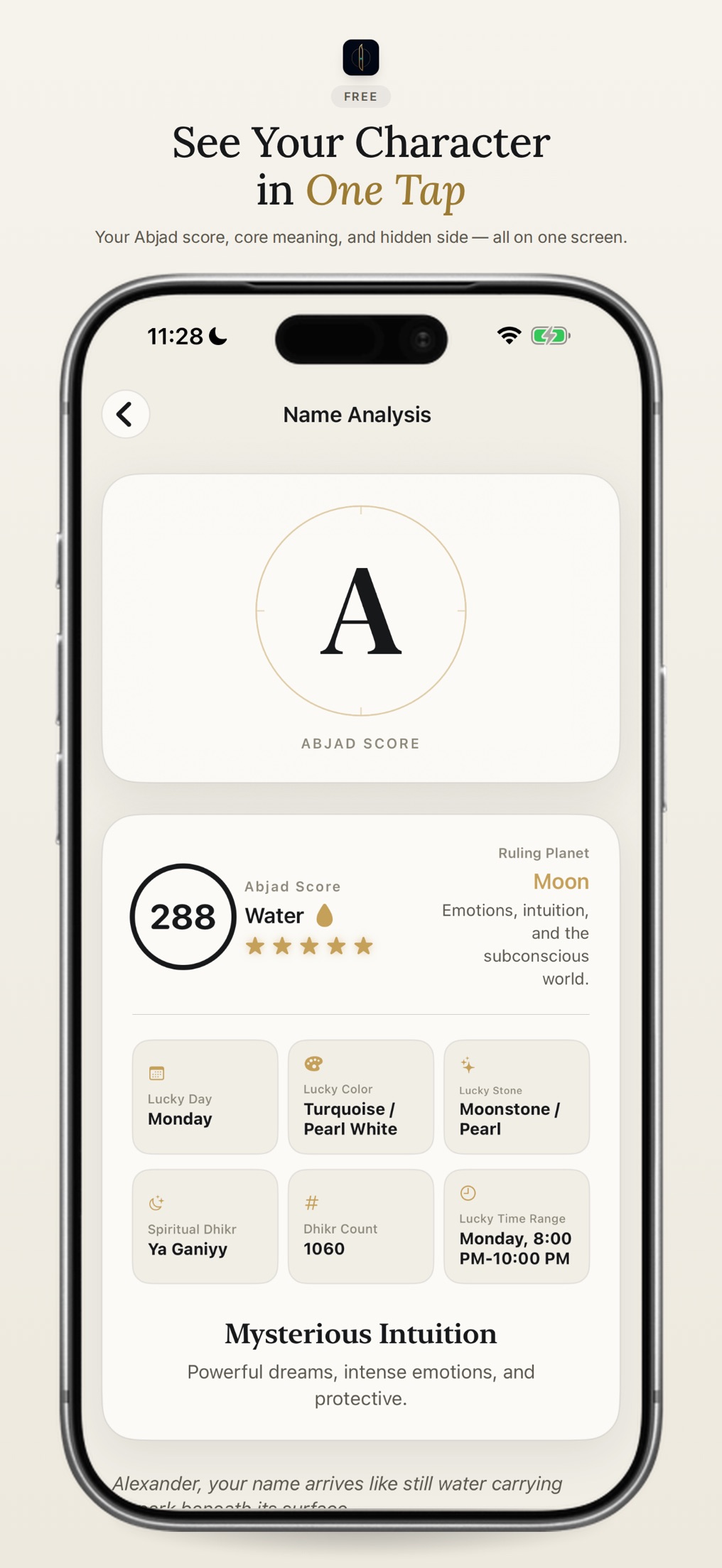 Ebcedia: Name Analysis screenshot