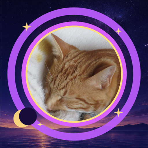 Pancyo Astrology cat and orbit icon